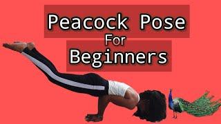 How To Do Peacock Pose For Beginners | Arm Balances Tutorial | Yoga 2021