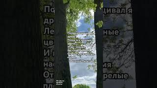 Полвека взращивал я древо… ©️Валерий Липатов