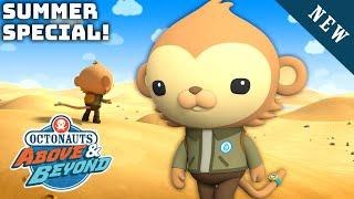 Octonauts: Above & Beyond - Sandy Adventures ️ | Season 2 | @Kidzuko