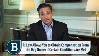 Can I Seek Legal Recourse for a Dog Bite? – RI Dog Bite Attorney Mike Bottaro