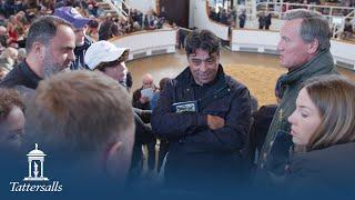 Tattersalls October Yearling Sale, Book 1 Day 1 Review 2024