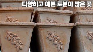 데팡스가든 오프라인 매장 다녀왔어요. 같이 구경해요.