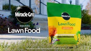 How To Use Miracle Gro Water Soluble Lawn Food