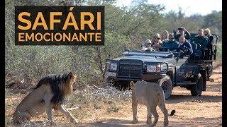 EXCITING SAFARI  IN SOUTH AFRICA - Carioca NoMundo Experience part 2