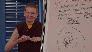 Pema Chödrön: Outside Your Comfort Zone