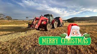 Merry Christmas | Hay Making | Australian Sheep Farming