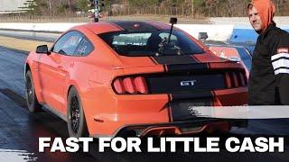 Here's Why The Mustang GT is The KING Cheap Fast