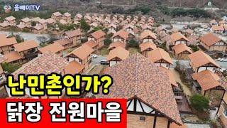 난민촌 같은 국내최대 닭장 전원마을  우리집 좀 사세요