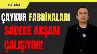 "Çaykur Fabrikaları: Az Çay Alımı Nedeniyle Sadece Akşam Çalışıyor!" Memleket Partisi Rize BAYRAK