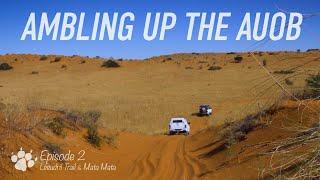 The Journey to Mata Mata (With a Dune Detour!) | Tracks in the Sand, Ep.2 | KGALAGADI ADVENTURE