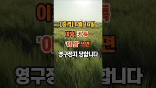 [충격] “6월 16일 이후, 카톡 '이 말' 쓰면 영구정지 당합니다” #인생조언  #명언 #좋은글 #지혜