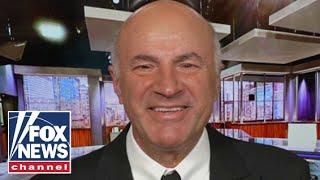 Kevin O'Leary: This is why companies are confident today