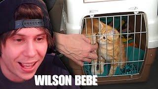 Rubius reacciona a la primera vez que vio a su gato wilson y reacciona a trailer de minecraft fan