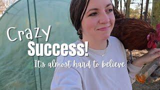 CRAZY SUCCESS! You Won't Even Believe It! | Alabama Homesteads