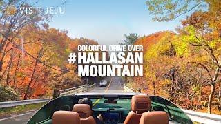 [4K Travel] Colorful Drive Over Hallasan Mountain