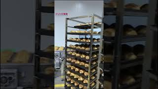 Croissant production line-Fuya manufacture  #tunneloven  #industrialbakery  #manufacturer