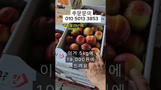 천도복숭아 열과  흠이 있어 그렇지 맛은 끝네줘요  새콤달콤 #천도복숭아 # 새콤달콤 #제철과일