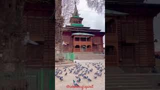 kashmiri Sufi song#kashmir #minivlog #trending #shorts #short