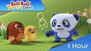  RUFF-RUFF, TWEET AND DAVE 1 Hour | 43-48 | VIDEOS and CARTOONS FOR KIDS