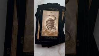 Lucid Dreams Beginners Tarot Black Eclipse Edition #tarot #tarotdeck #indiedecks #divination