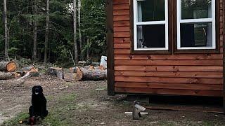 July Progress Update At The Cabin