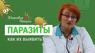 18 признаков наличия паразитов в организме | Иммунолог Гордиенко |