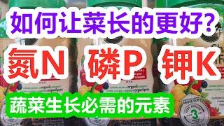 如何恰当的使用氮磷钾NPK肥, 让菜更壮/果实更大,3个数字的含义, 什么时候施肥？