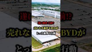 遂に破産寸前⁉売れなさ過ぎるBYDがとった衝撃の行動 #byd #ev #中国 #車 #bydev
