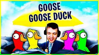 JAK JSEM POZNAL VAŠI HUSU? | GOOSE GOOSE DUCK [MarweX]