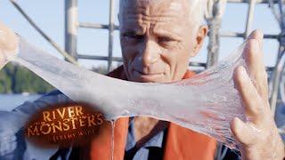 Reeling In HORRIFIC Hagfish | River Monsters