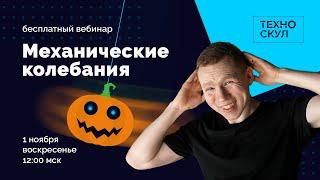 Механические колебания | ЕГЭ Физика | Николай Ньютон. Техноскул