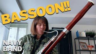 Why you should choose the bassoon!