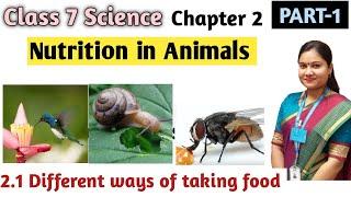 Nutrition in Animals | NCERT Science Class 7 Chapter 2 Nutrition in Animals | Part 1 #class7science