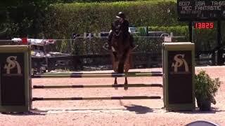 Hailey Royce and MEC Fantastic - USA Debut 