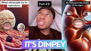 *3+ HOUR* New Best Dimpey6 Funny Shorts 2024 - New Funny Tik Tok Memes - TikTok Famous