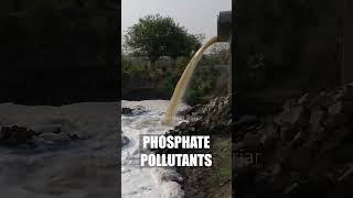 Yamuna River Foam / Froth Formation #pollution #upsc #currentaffairs