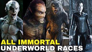 Immortals of Underworld: Origins of All Species Explored