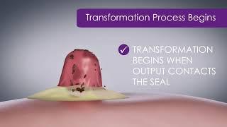 eakin Cohesive® seals  They Must Transform to Perform