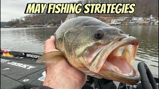 Best 7 Ways To Catch Shallow Bass In May..