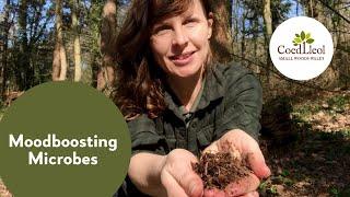 Moodboosting Microbes | Coed Lleol (Small Woods Wales)