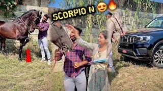 FARM Pr GHODO Ki Wajah Se Ek Bada Kaala Ghoda Aagya ( BIG DADDY )