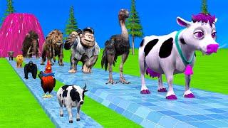 Paint & Animals Cow,Monkey,Ostrich,Lion,Elephant Fountain Crossing Transformation Animal Cartoon