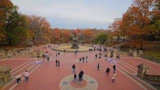 Iconic Central Park Film locations baruyork