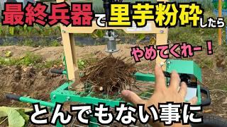 最終兵器で里芋バラバラにしたら一瞬で収穫終わったけど衝撃の結末が、、、！(ホクエツ里芋分離機子ばなれ君）