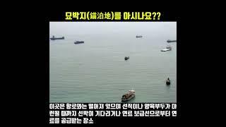 묘박지(錨泊地)를 아시나요?