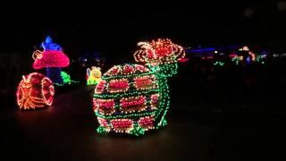 Walt Disney World Magic Kingdom Electrical Parade 2016