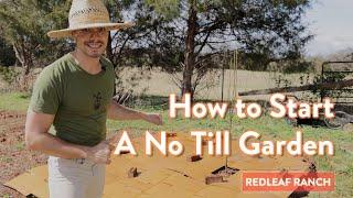 No-Till Gardening Tutorial for Beginners: Easy Way to Start A Vegetable Garden