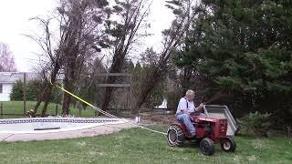 Pulling down an overgrown, vine-entangled Leyland Cypress with a 50 year old Wheel Horse