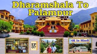 Dharamshala To Palampur | EP 7 | Kangra Series | pack4yatra