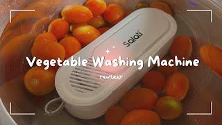 SALATI Fruit and Vegetable Washing Machine, Portable Automatic Vegetable Cleaner Device